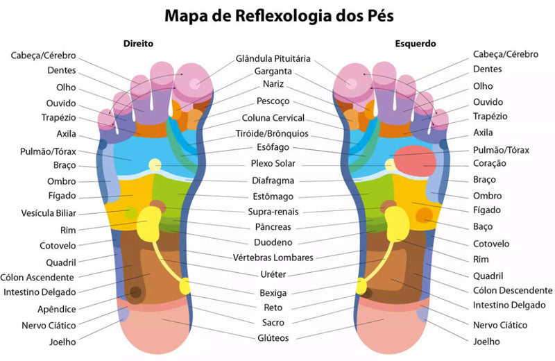 KIT Reflexologia Podal - Meia VitalPoint + Massageadores Acupressão